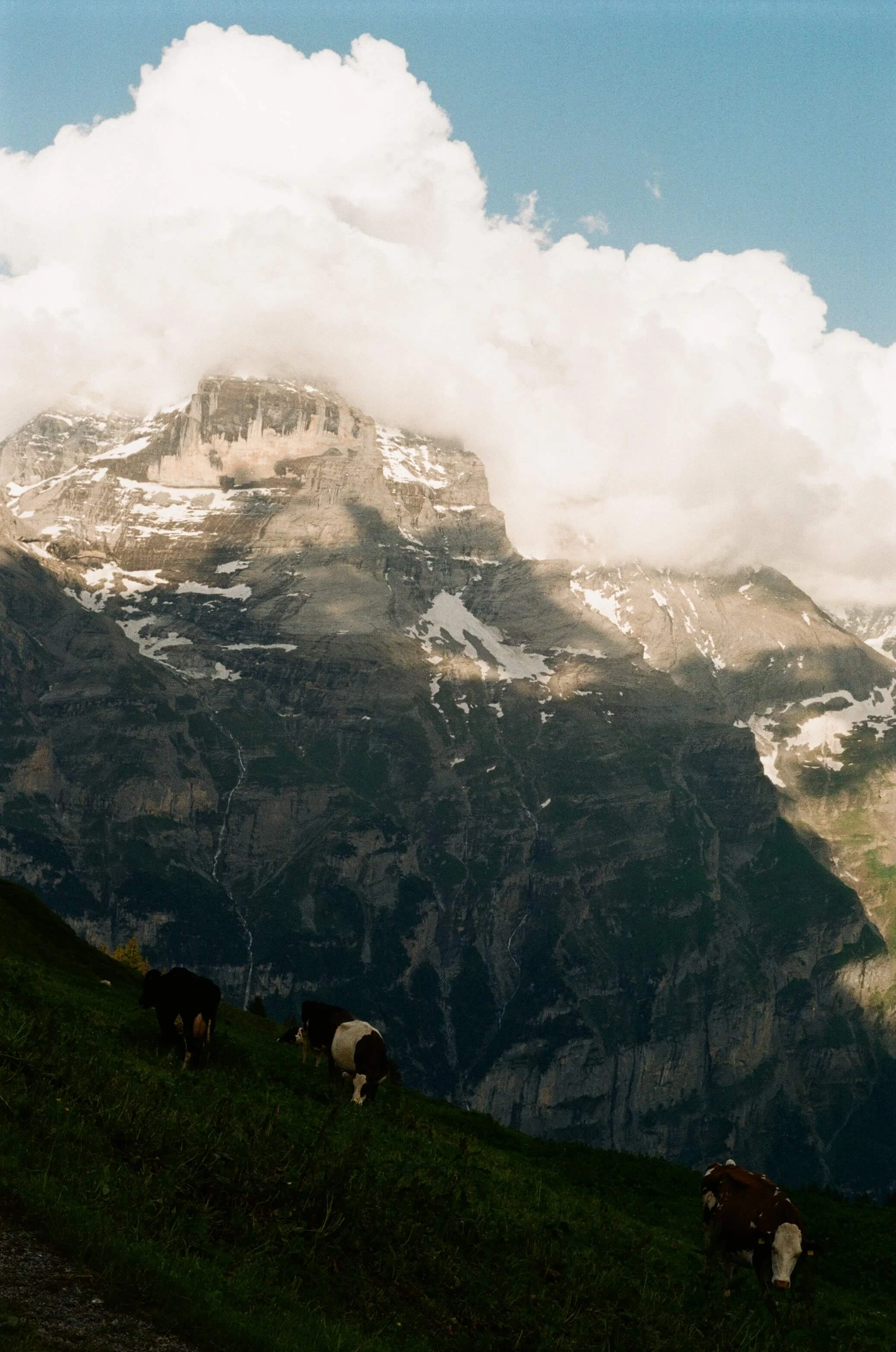 Picture from alpine-escape gallery