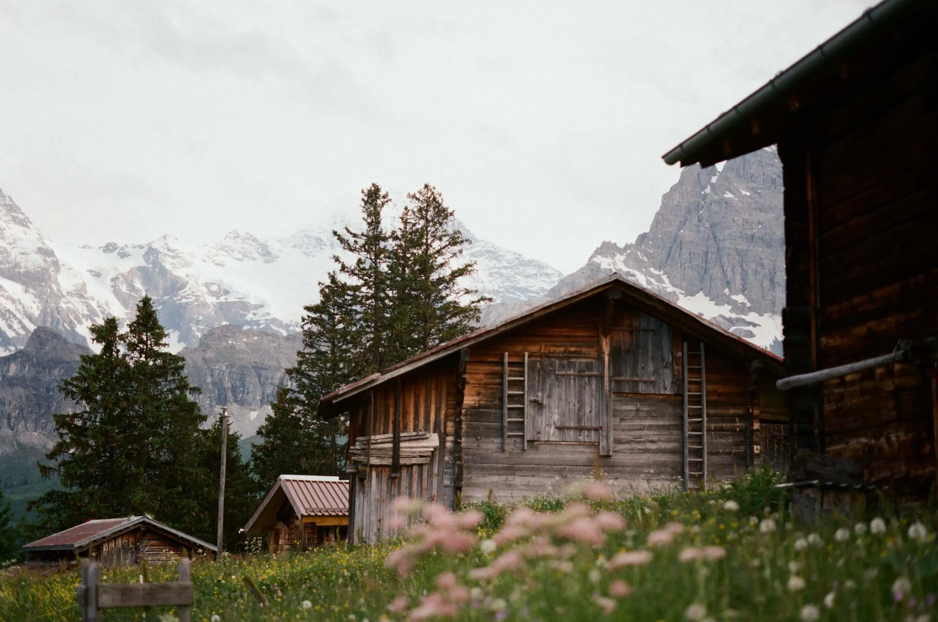 Picture from alpine-escape gallery