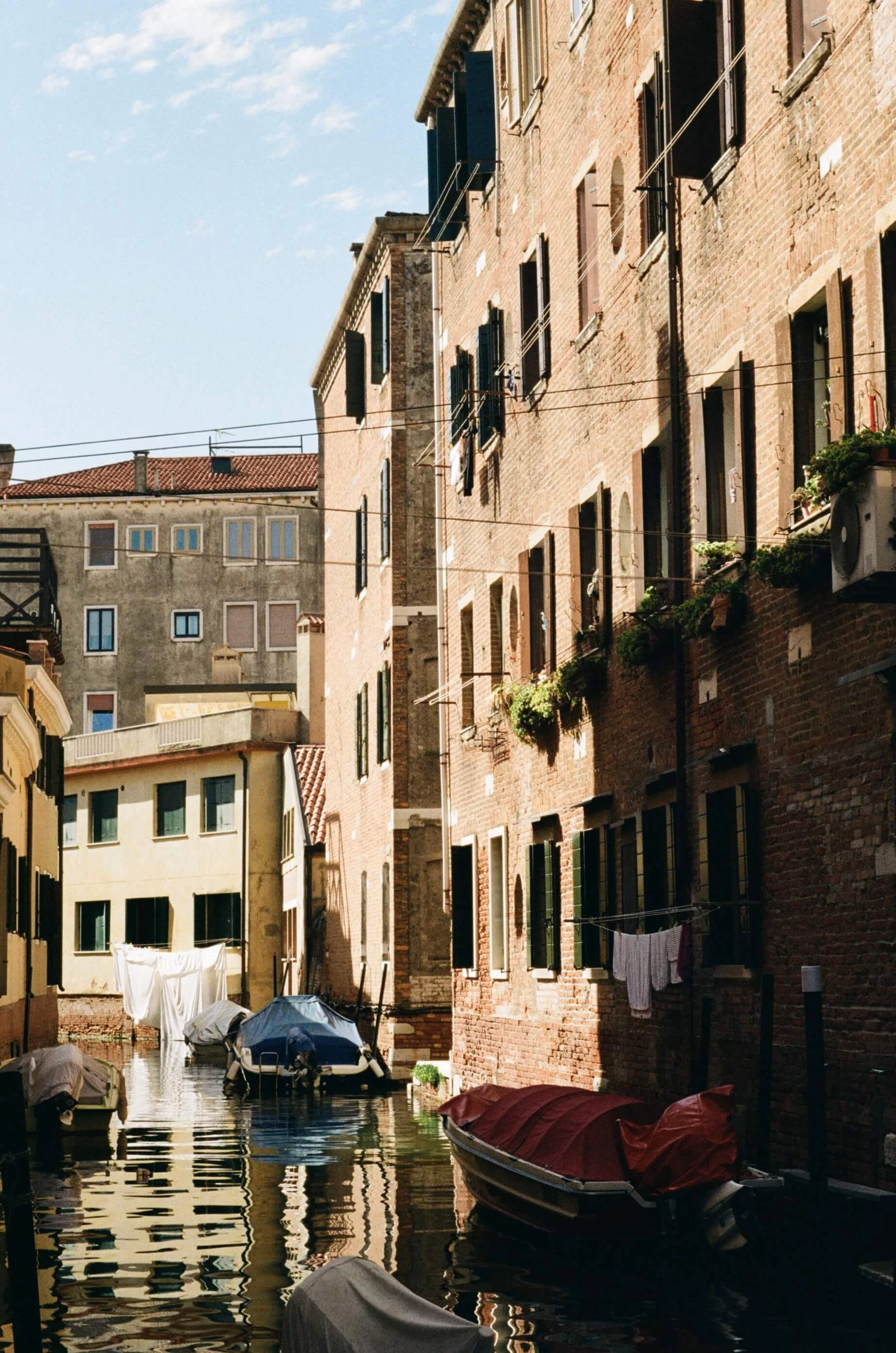 Picture from european-feel gallery