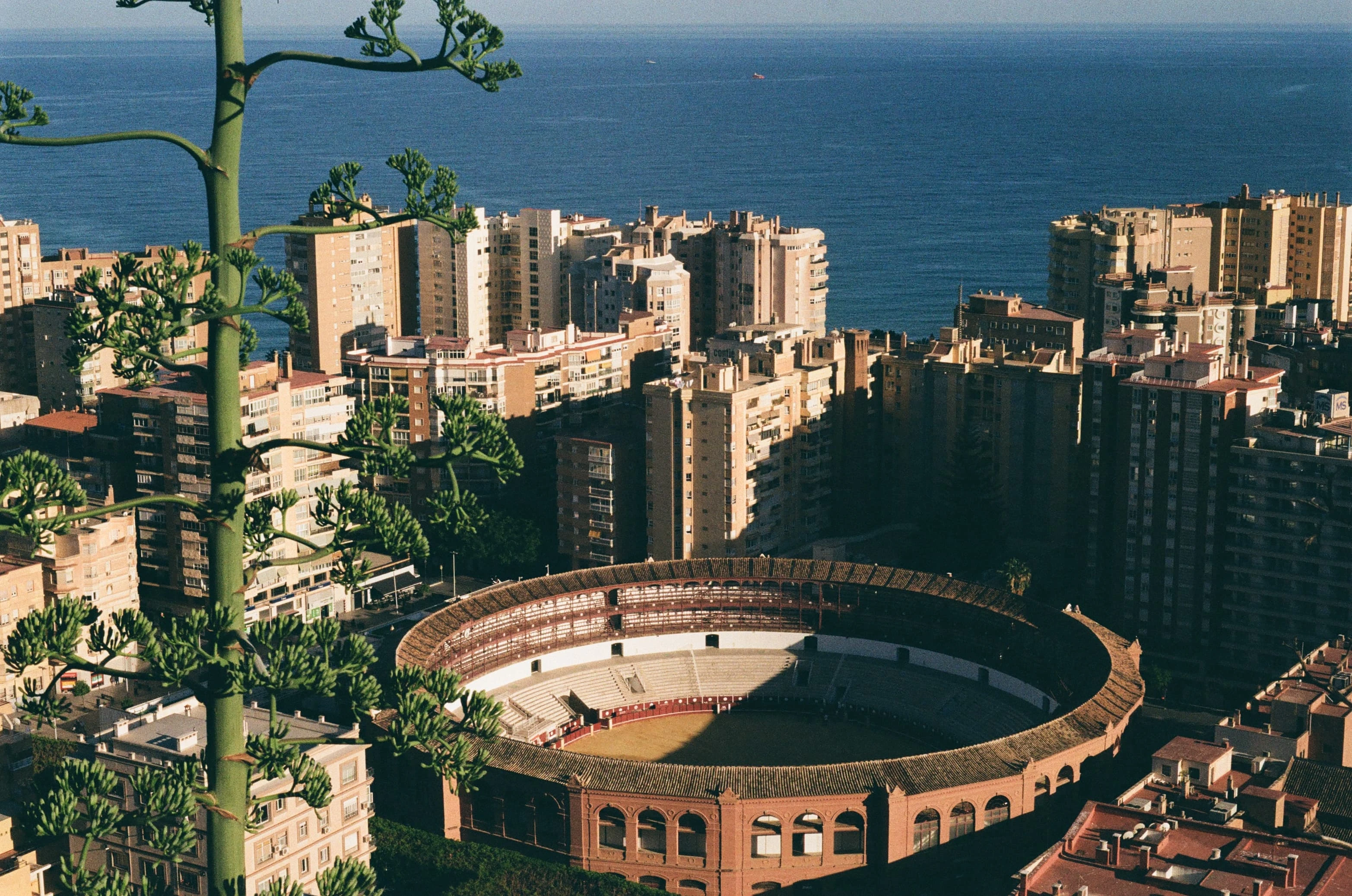 Picture from european-feel gallery