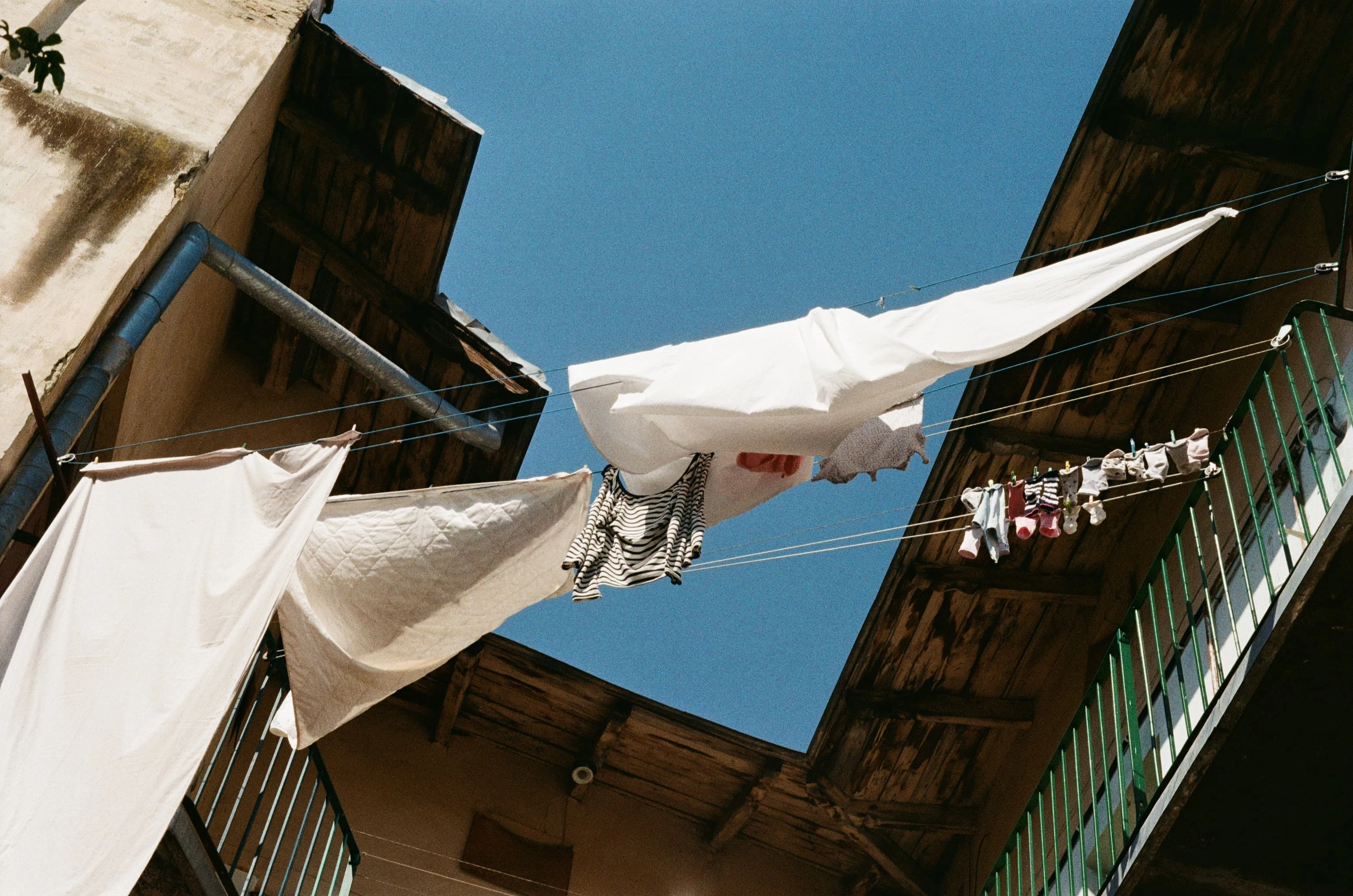 Picture from grain-of-ukraine gallery