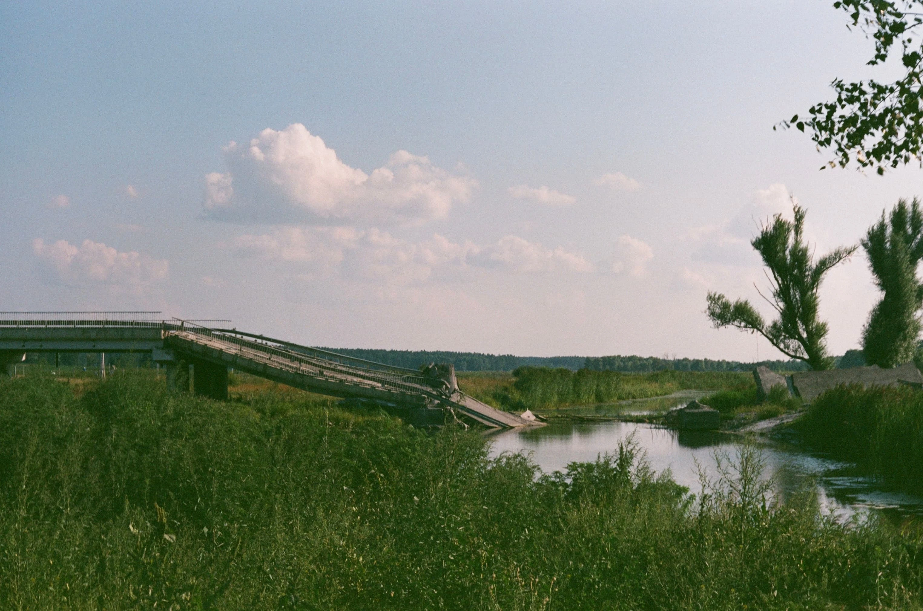 Picture from grain-of-ukraine gallery