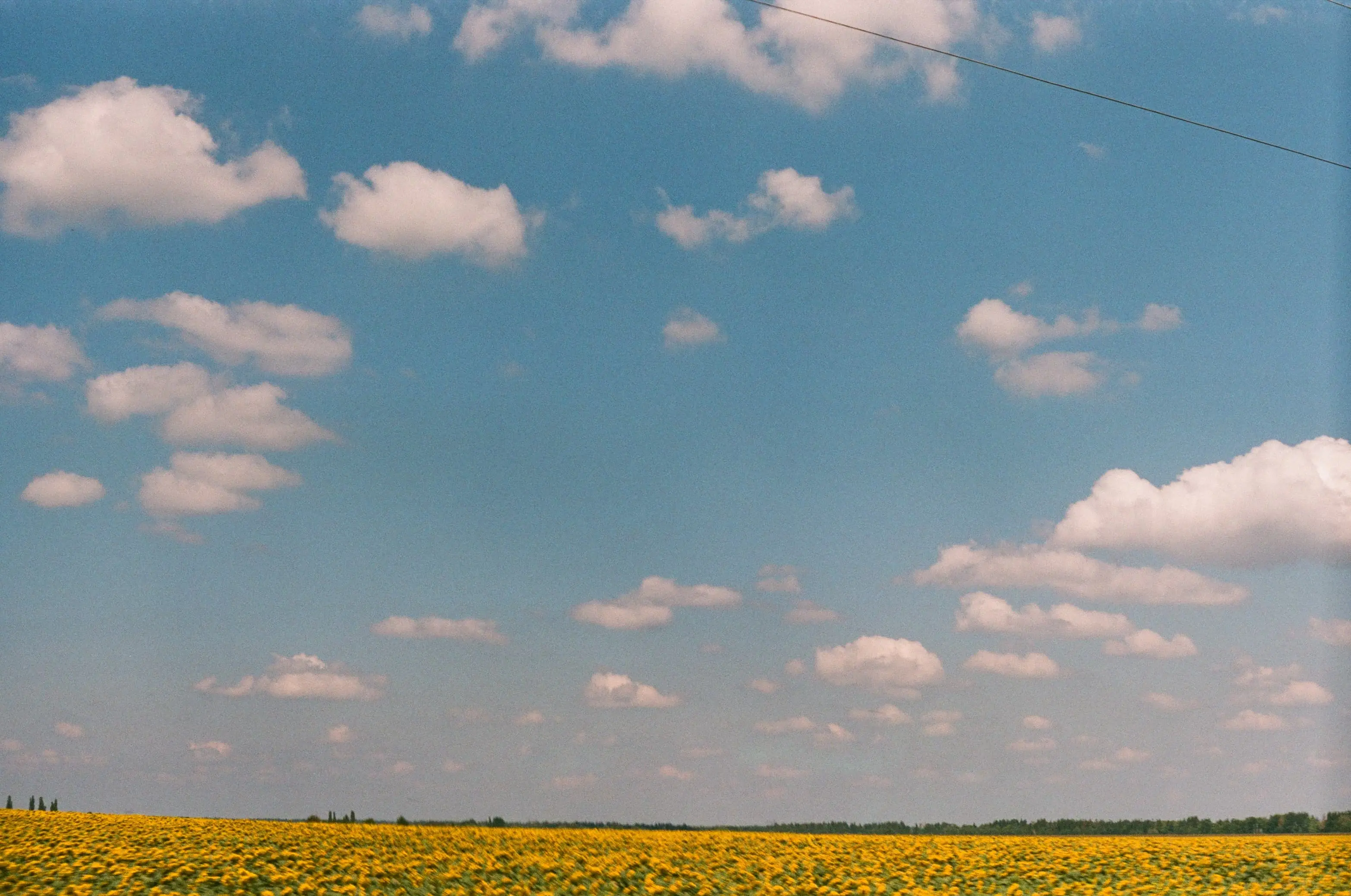 Picture from grain-of-ukraine gallery