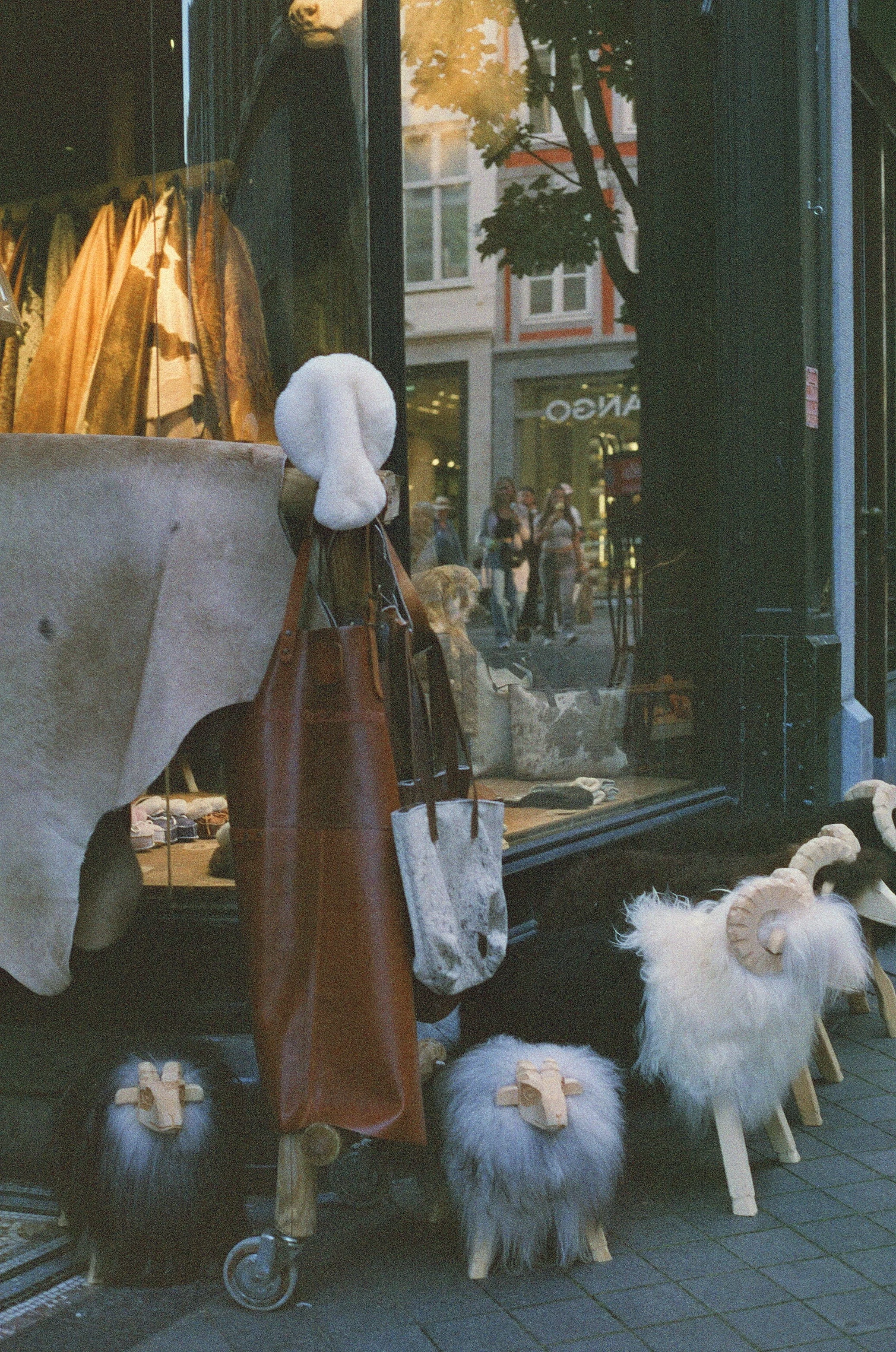 Picture from harman-phoenix gallery