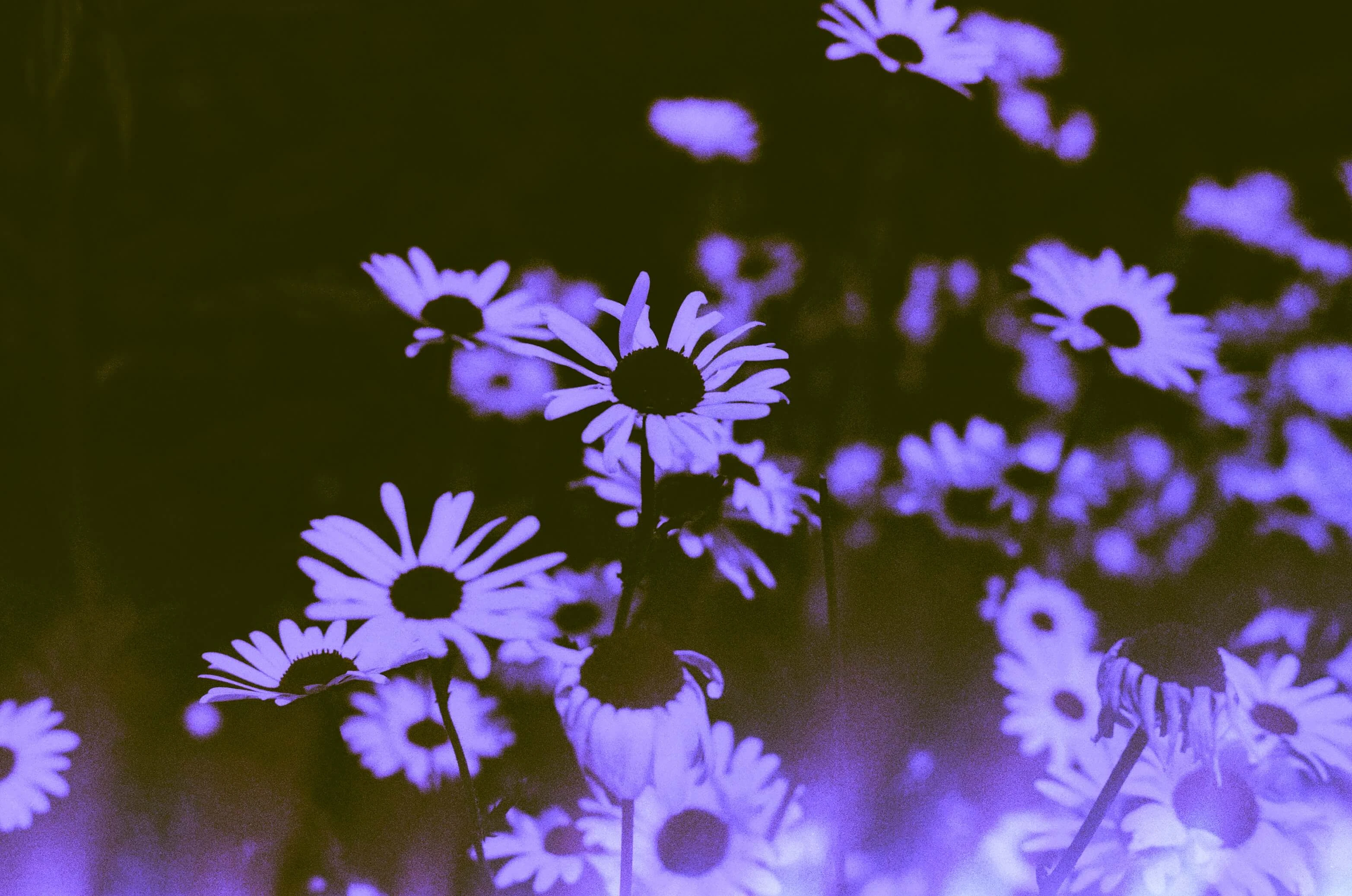 Preview of Jazzy Blues