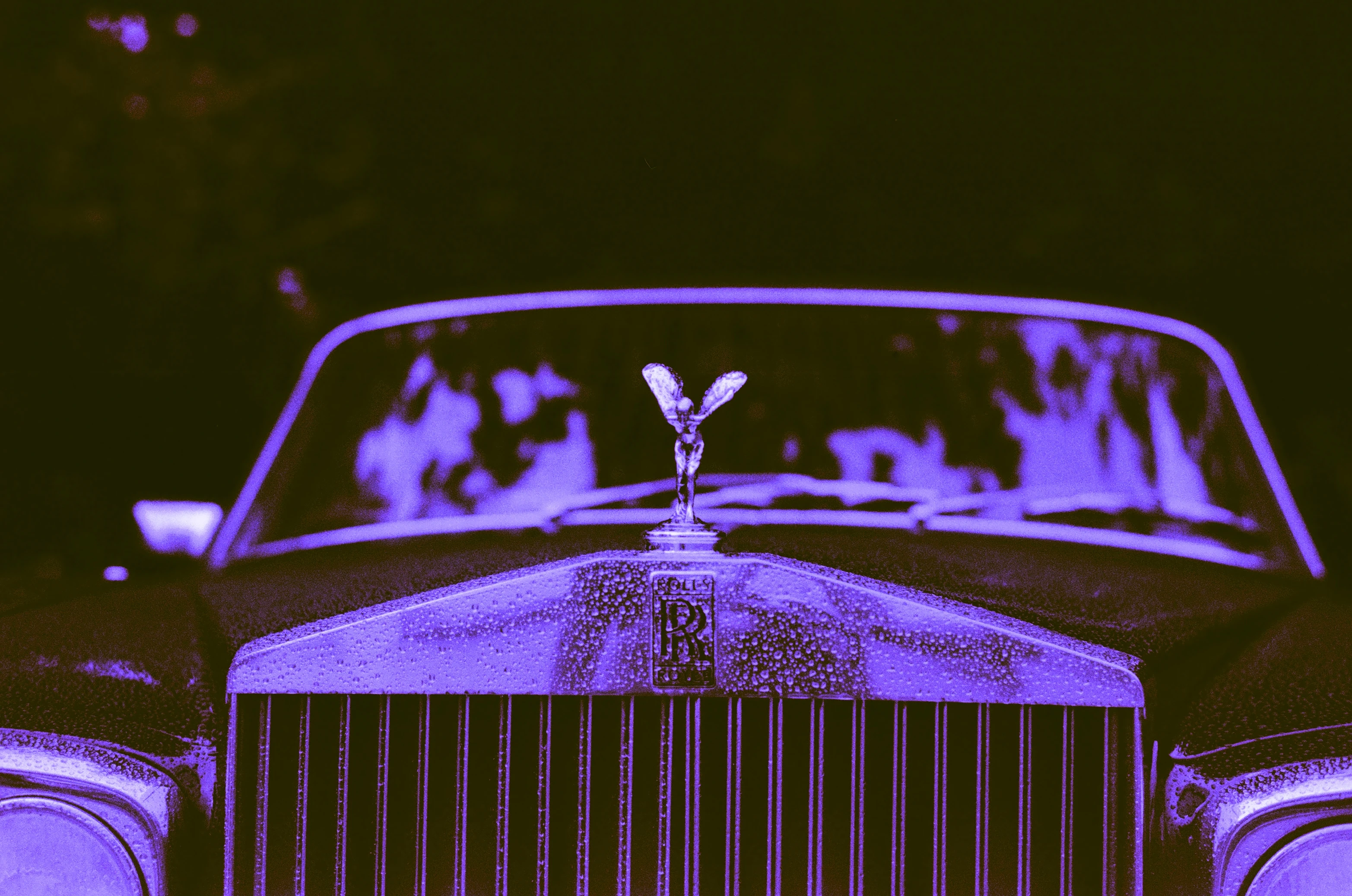 Picture from jazzy-blues gallery