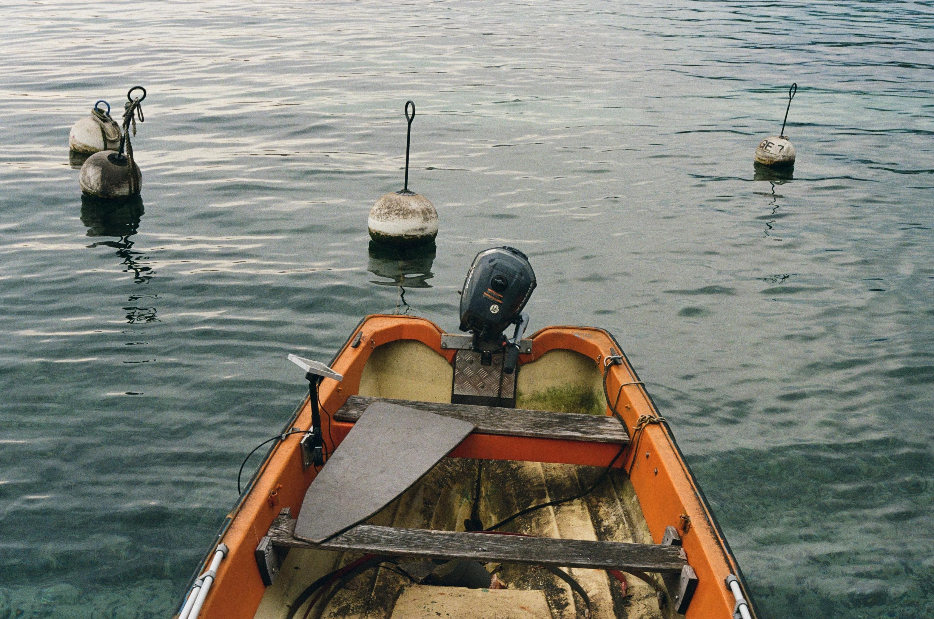 Picture from moments-of-stillness gallery