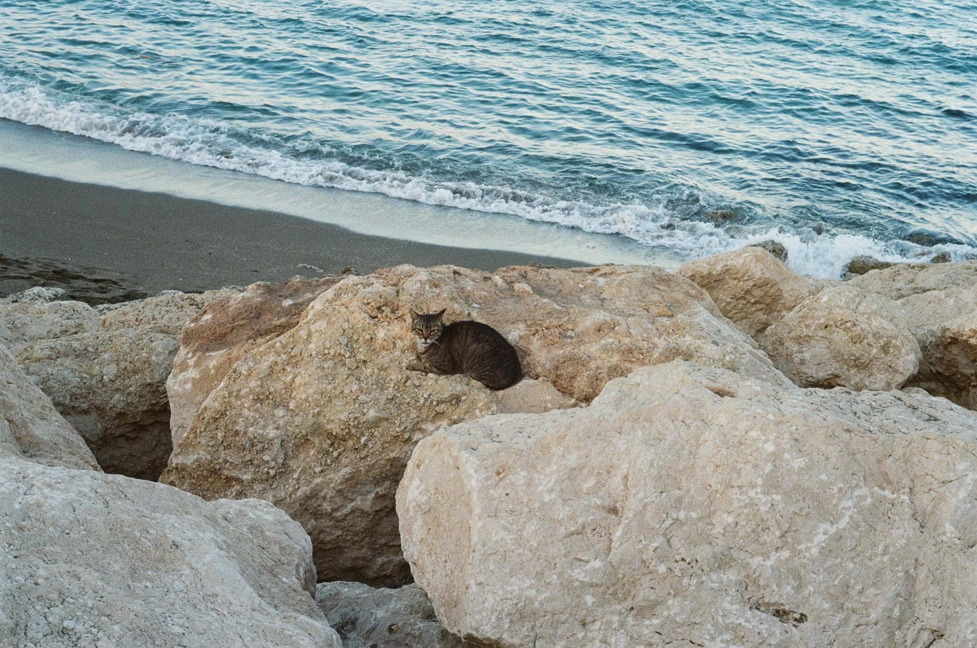 Preview of Moments of Stillness