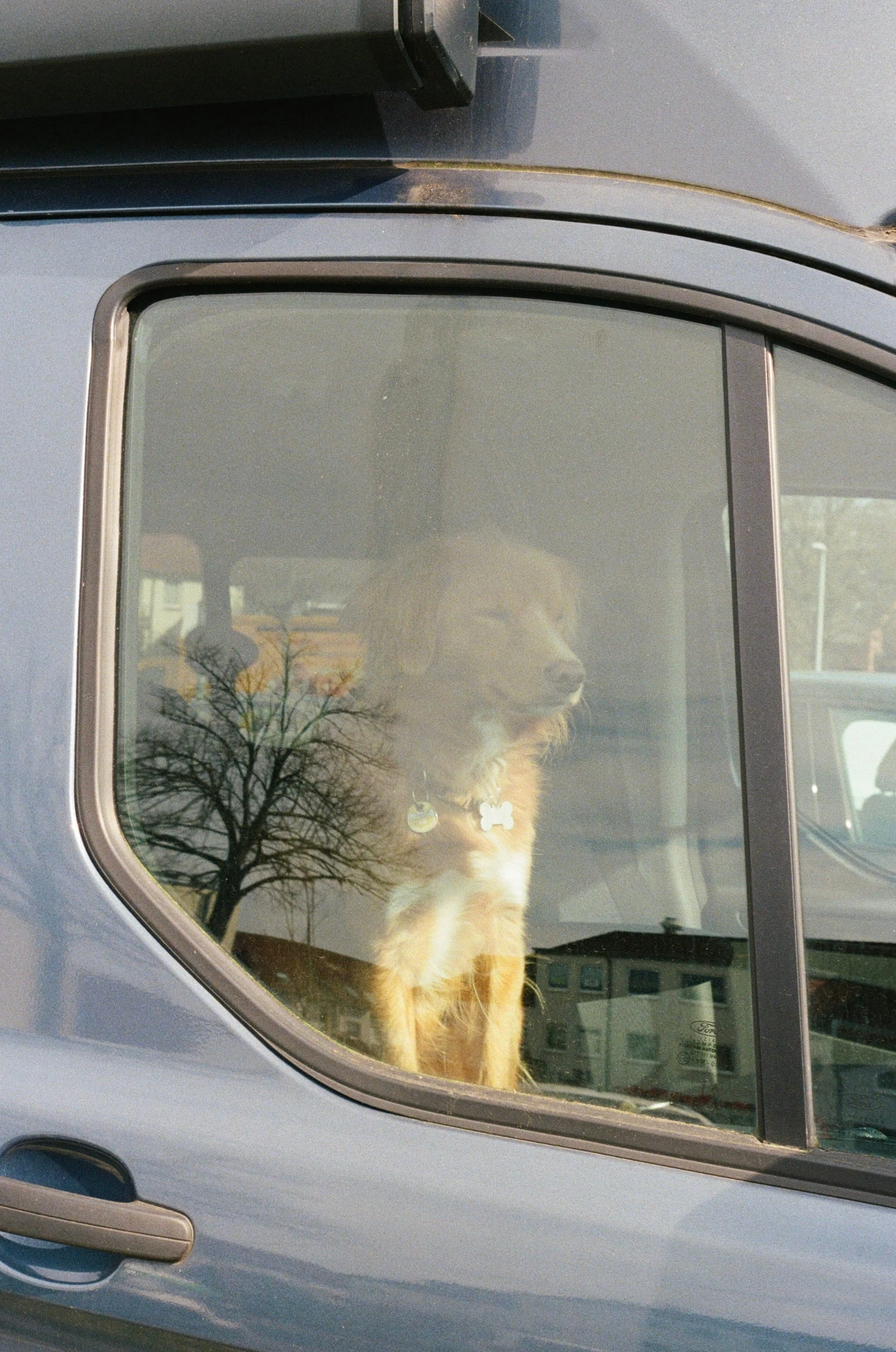 Picture from moments-of-stillness gallery