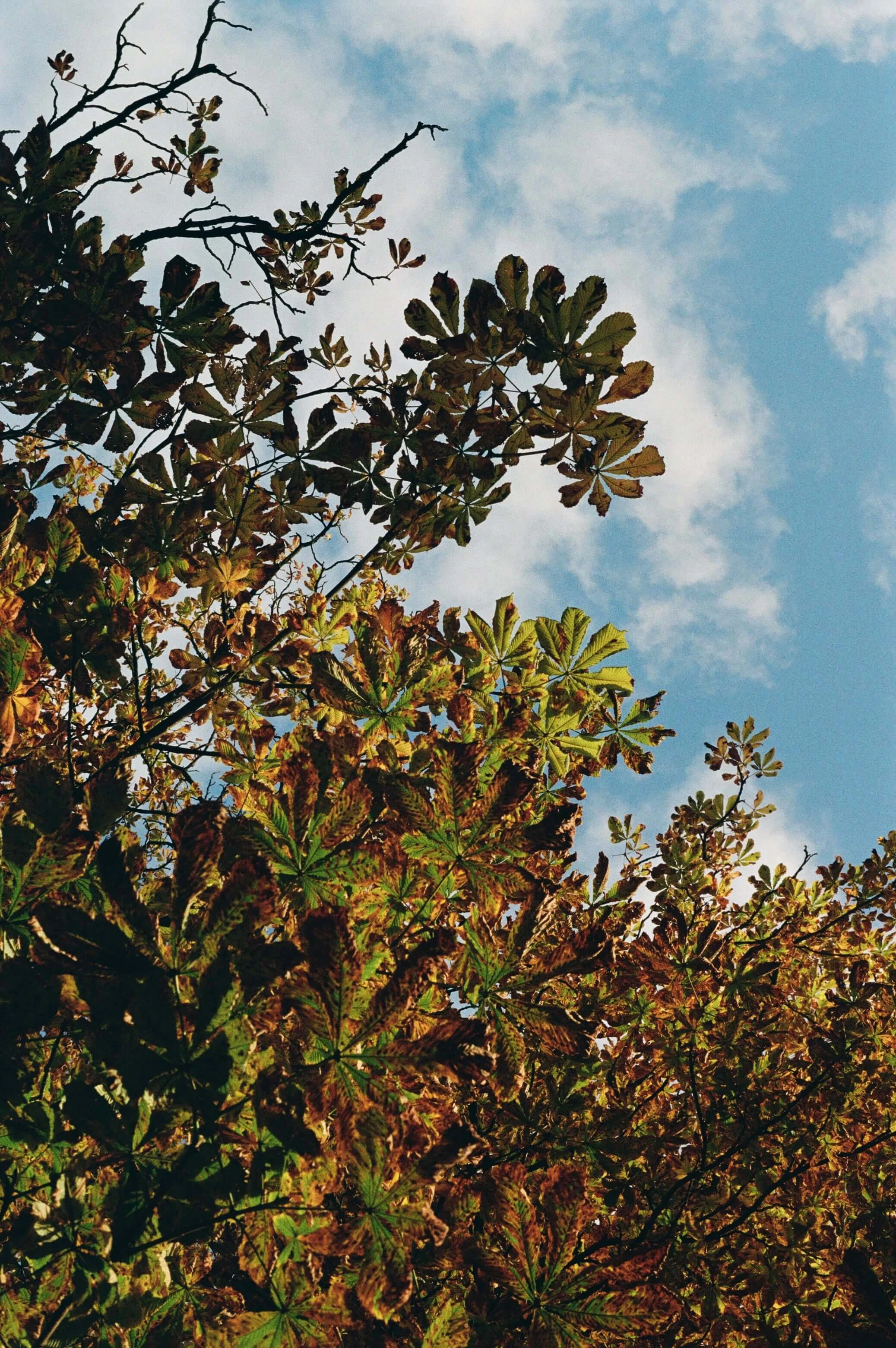 Picture from moments-of-stillness gallery