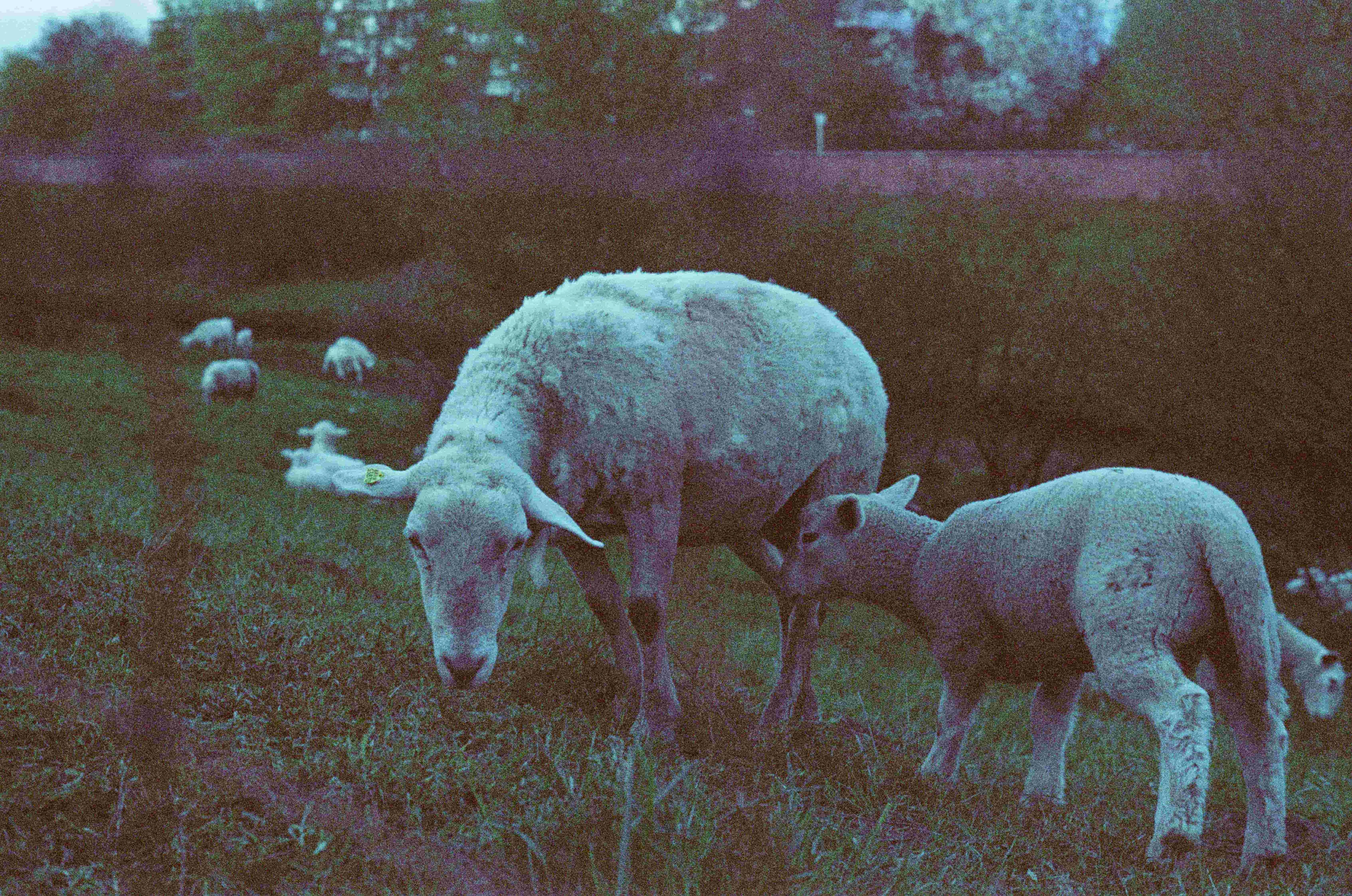 Picture from moments-of-stillness gallery