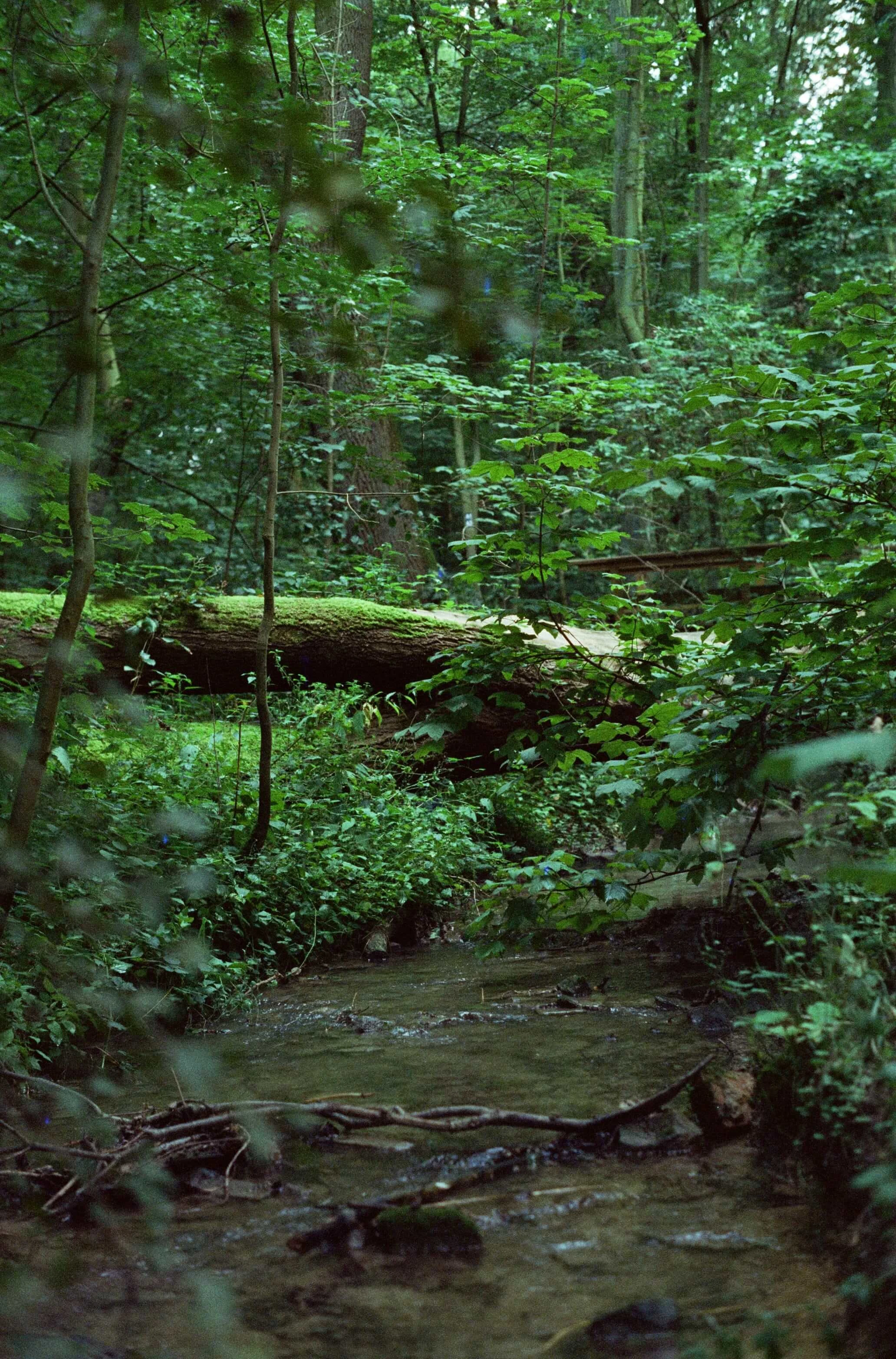 Picture from moments-of-stillness gallery