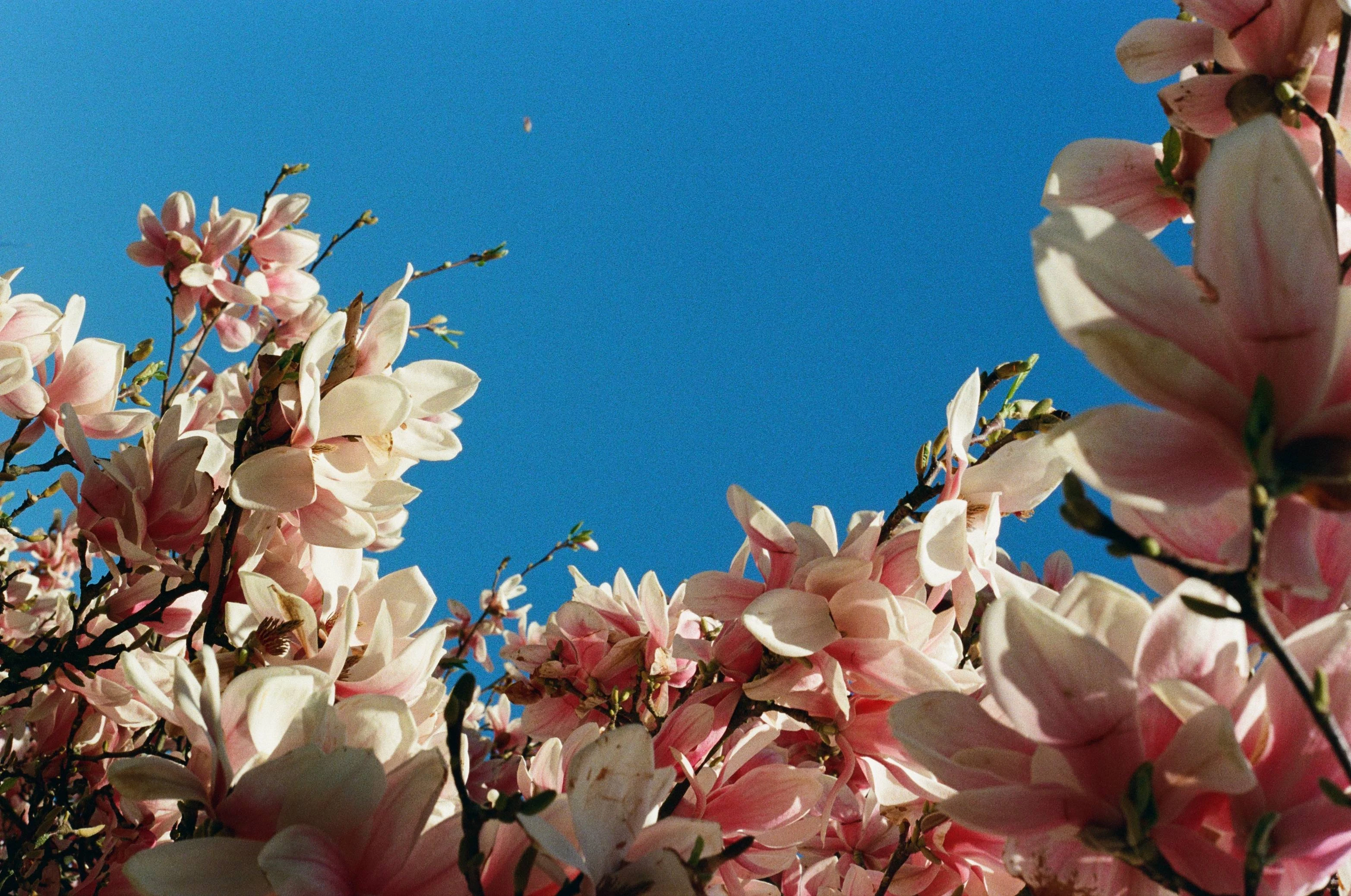 Picture from moments-of-stillness gallery