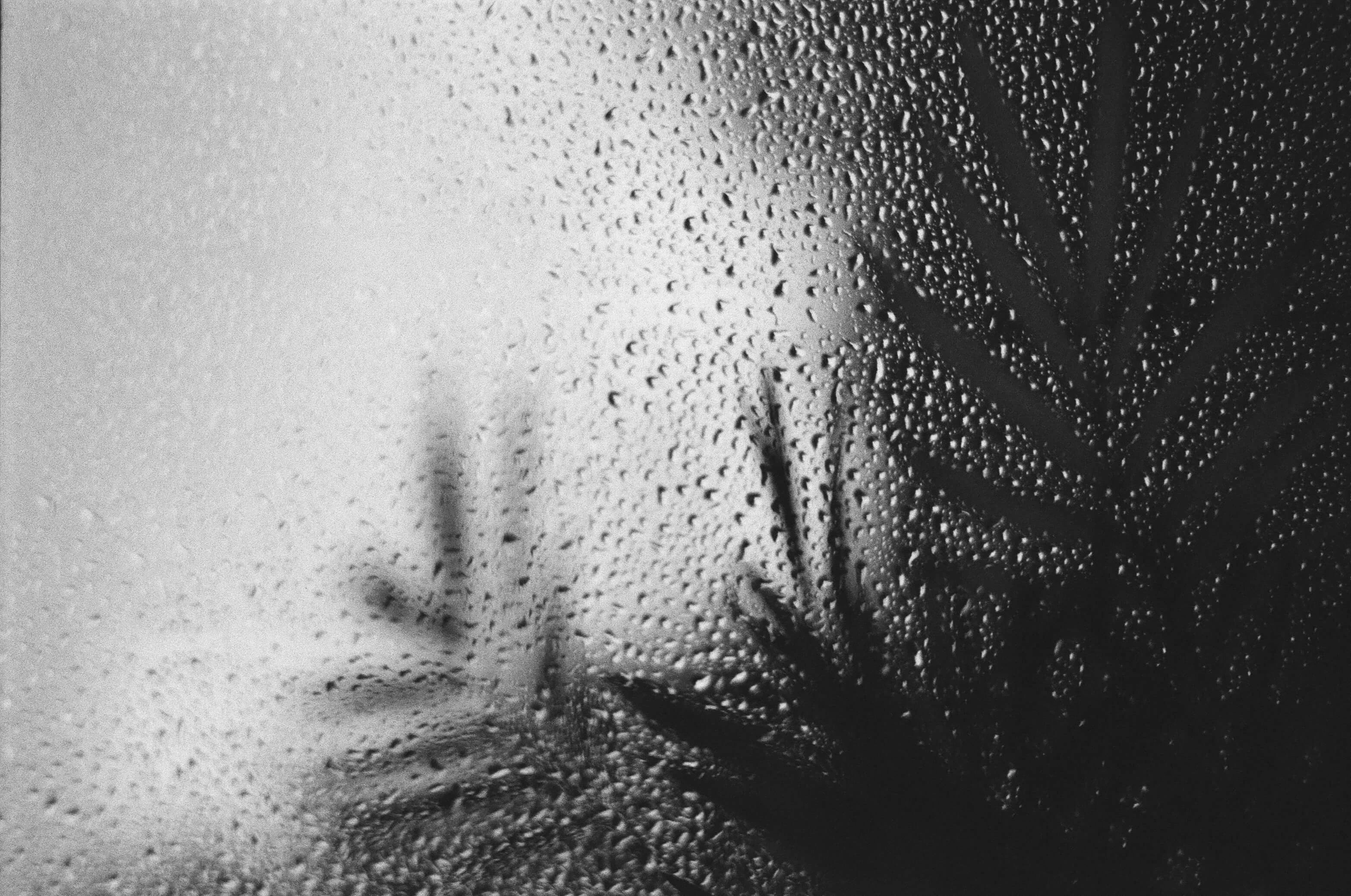 Picture from noir-et-blanc gallery