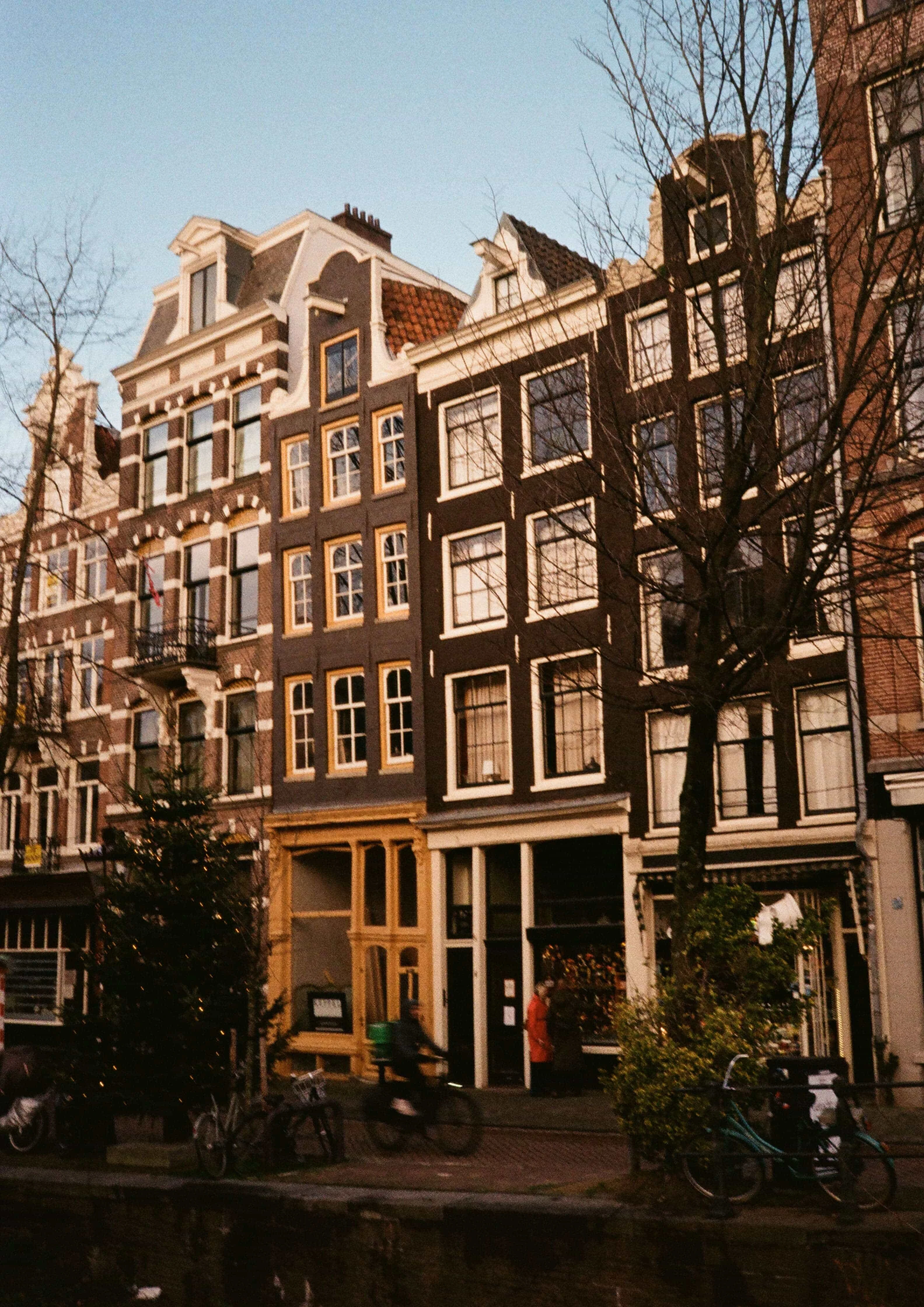 Picture from pentax-17 gallery