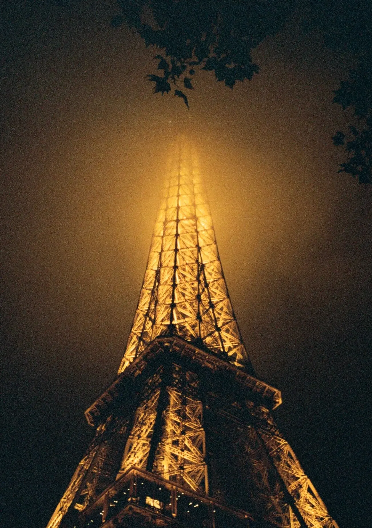 Picture from pentax-17 gallery