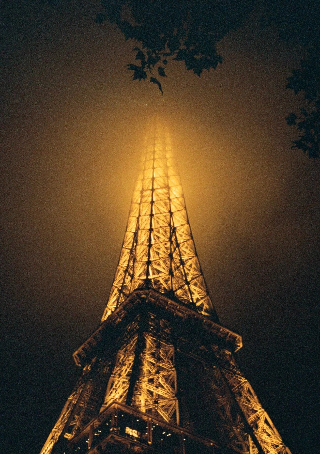 Picture from pentax-17 gallery